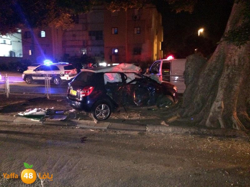 tree hit lud 0405 (1).jpg